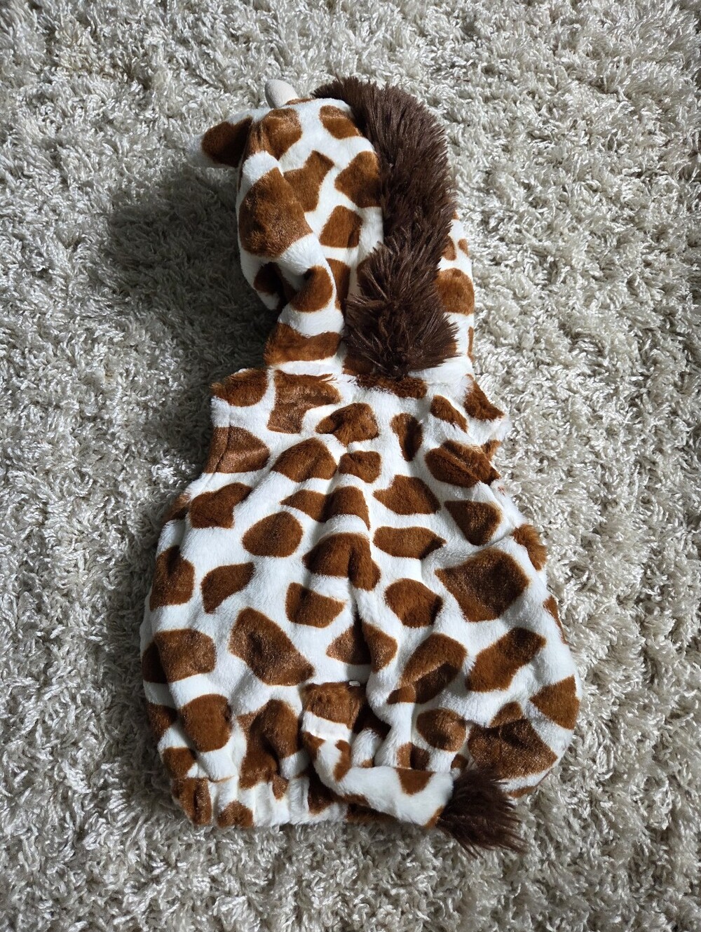 Baby Giraffe - Picture 2 of 2